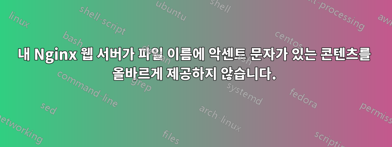 내 Nginx 웹 서버가 파일 이름에 악센트 문자가 있는 콘텐츠를 올바르게 제공하지 않습니다.
