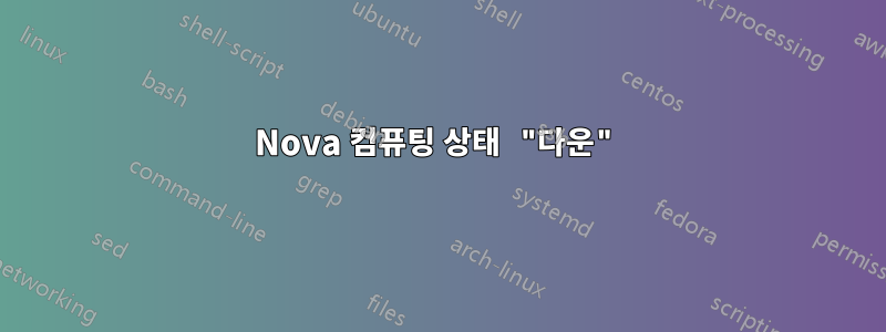 Nova 컴퓨팅 상태 "다운"