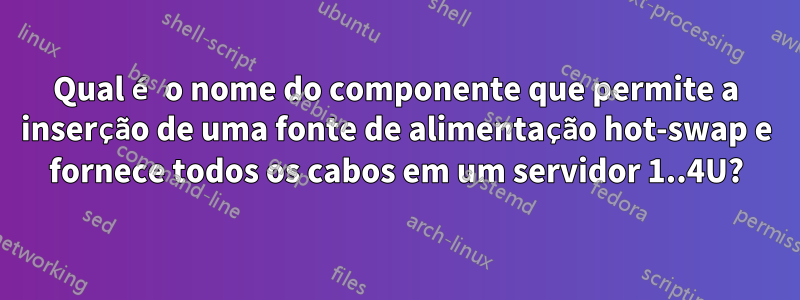 Qual é o nome do componente que permite a inserção de uma fonte de alimentação hot-swap e fornece todos os cabos em um servidor 1..4U?