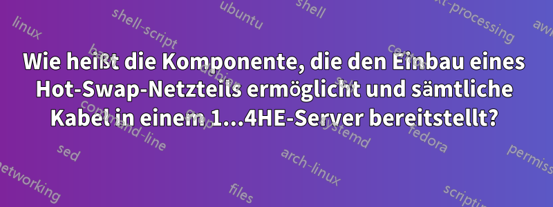 Wie heißt die Komponente, die den Einbau eines Hot-Swap-Netzteils ermöglicht und sämtliche Kabel in einem 1...4HE-Server bereitstellt?
