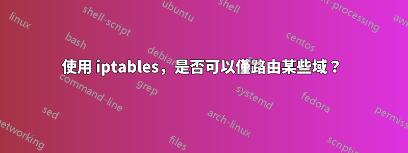 使用 iptables，是否可以僅路由某些域？
