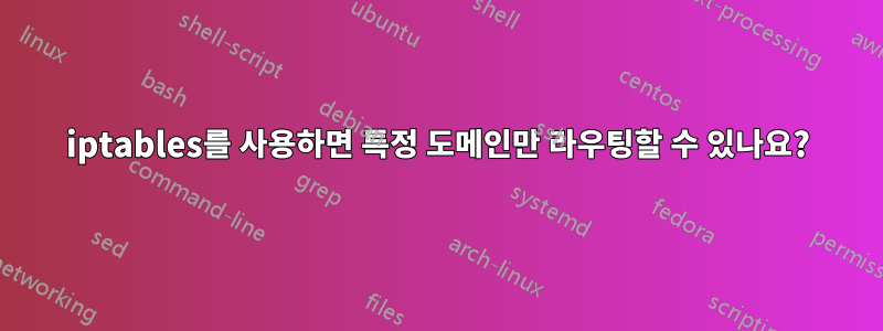 iptables를 사용하면 특정 도메인만 라우팅할 수 있나요?
