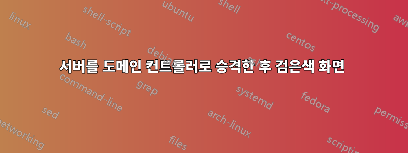 서버를 도메인 컨트롤러로 승격한 후 검은색 화면