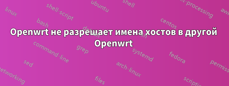 Openwrt не разрешает имена хостов в другой Openwrt