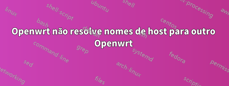 Openwrt não resolve nomes de host para outro Openwrt