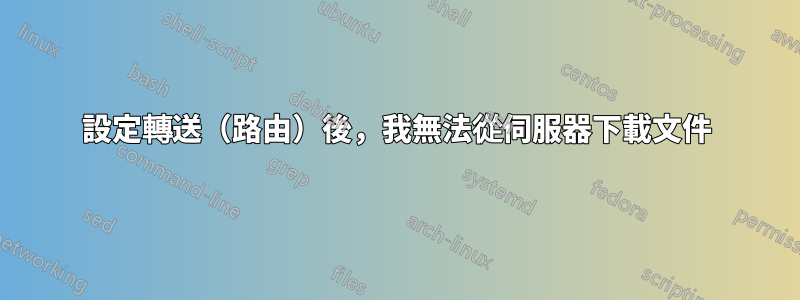 設定轉送（路由）後，我無法從伺服器下載文件