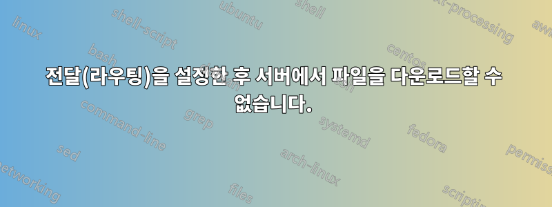 전달(라우팅)을 설정한 후 서버에서 파일을 다운로드할 수 없습니다.