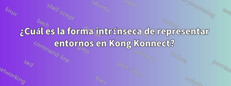 ¿Cuál es la forma intrínseca de representar entornos en Kong Konnect?