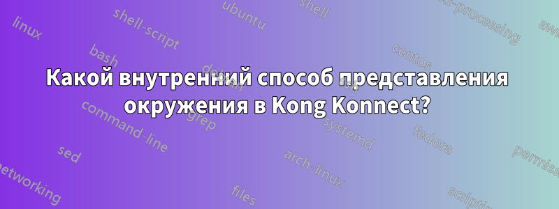 Какой внутренний способ представления окружения в Kong Konnect?