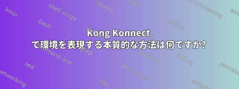 Kong Konnect で環境を表現する本質的な方法は何ですか?