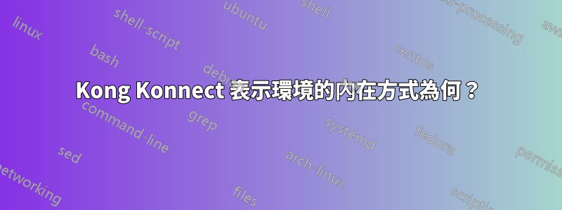 Kong Konnect 表示環境的內在方式為何？