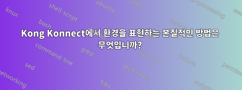 Kong Konnect에서 환경을 표현하는 본질적인 방법은 무엇입니까?