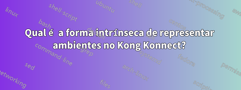 Qual é a forma intrínseca de representar ambientes no Kong Konnect?
