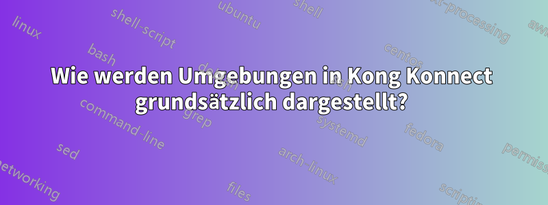 Wie werden Umgebungen in Kong Konnect grundsätzlich dargestellt?