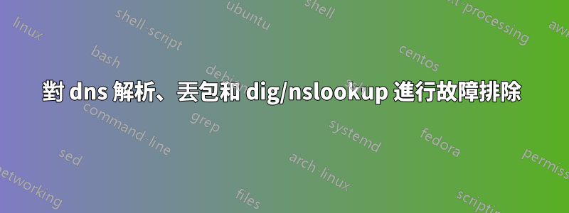 對 dns 解析、丟包和 dig/nslookup 進行故障排除
