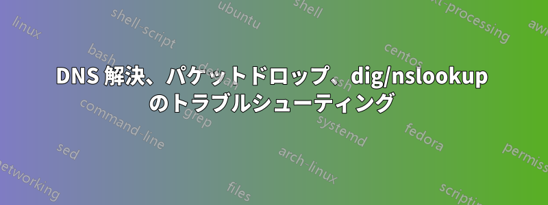 DNS 解決、パケットドロップ、dig/nslookup のトラブルシューティング