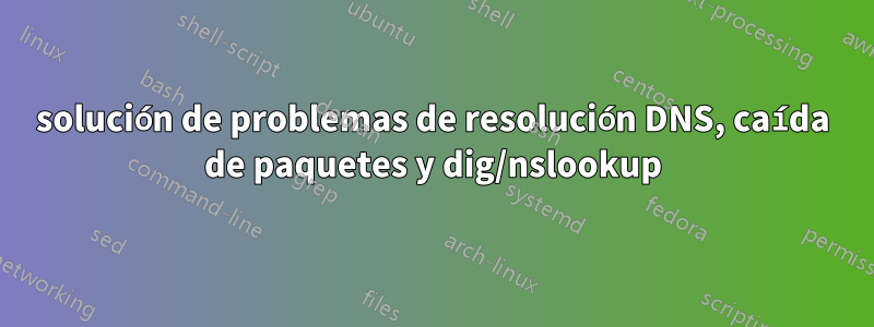 solución de problemas de resolución DNS, caída de paquetes y dig/nslookup
