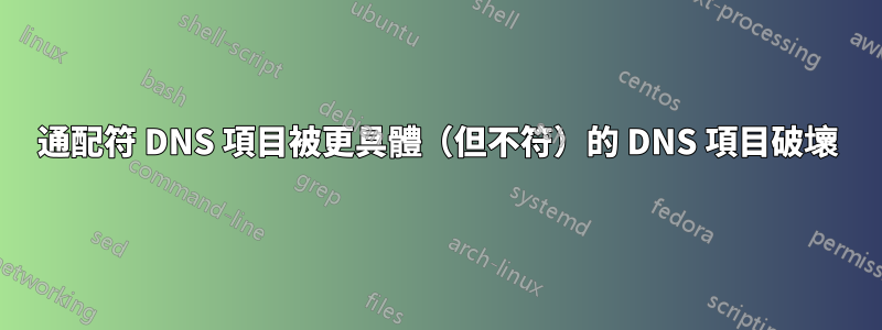 通配符 DNS 項目被更具體（但不符）的 DNS 項目破壞