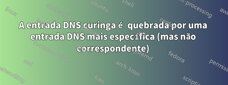 A entrada DNS curinga é quebrada por uma entrada DNS mais específica (mas não correspondente)