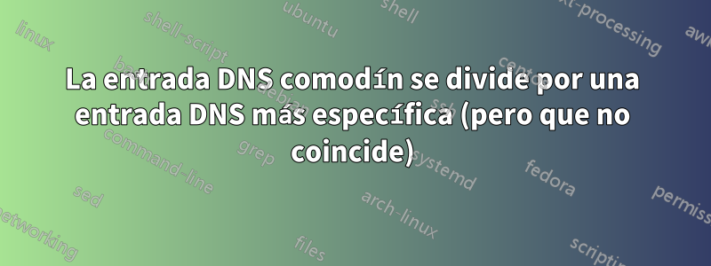La entrada DNS comodín se divide por una entrada DNS más específica (pero que no coincide)