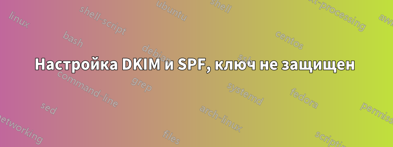 Настройка DKIM и SPF, ключ не защищен