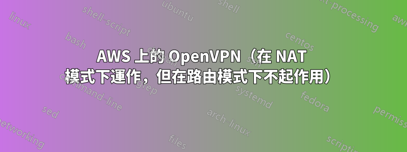 AWS 上的 OpenVPN（在 NAT 模式下運作，但在路由模式下不起作用）