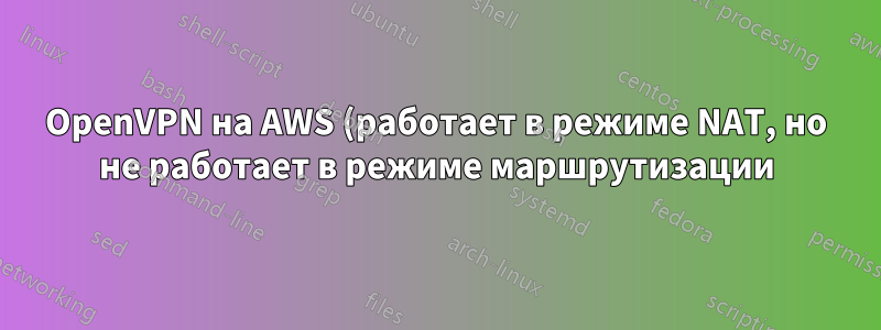 OpenVPN на AWS (работает в режиме NAT, но не работает в режиме маршрутизации)