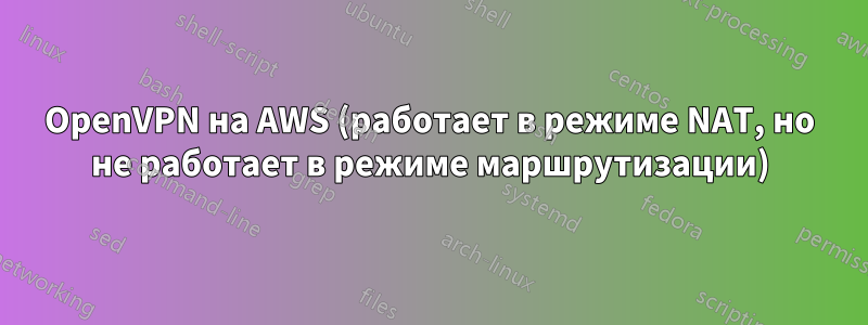 OpenVPN на AWS (работает в режиме NAT, но не работает в режиме маршрутизации)