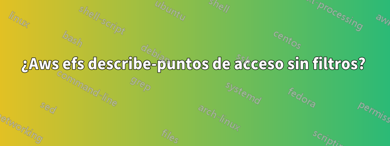 ¿Aws efs describe-puntos de acceso sin filtros?