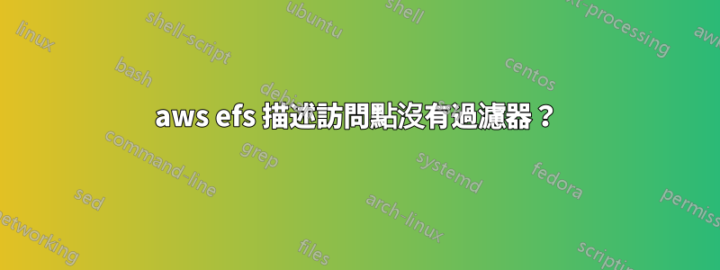 aws efs 描述訪問點沒有過濾器？