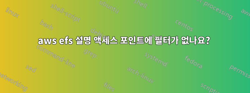 aws efs 설명 액세스 포인트에 필터가 없나요?