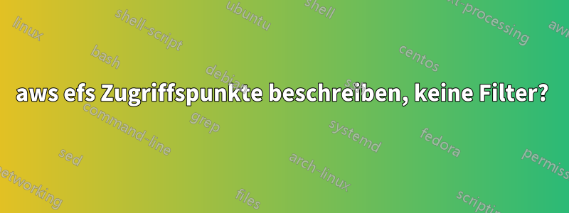 aws efs Zugriffspunkte beschreiben, keine Filter?