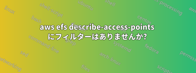 aws efs describe-access-points にフィルターはありませんか?
