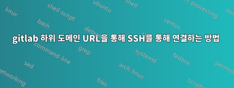 gitlab 하위 도메인 URL을 통해 SSH를 통해 연결하는 방법
