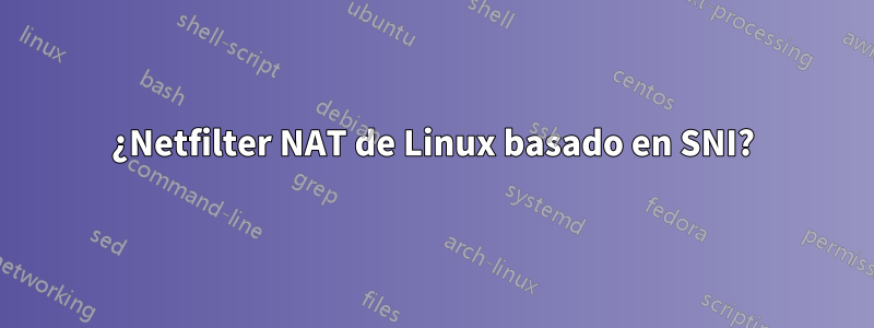 ¿Netfilter NAT de Linux basado en SNI?