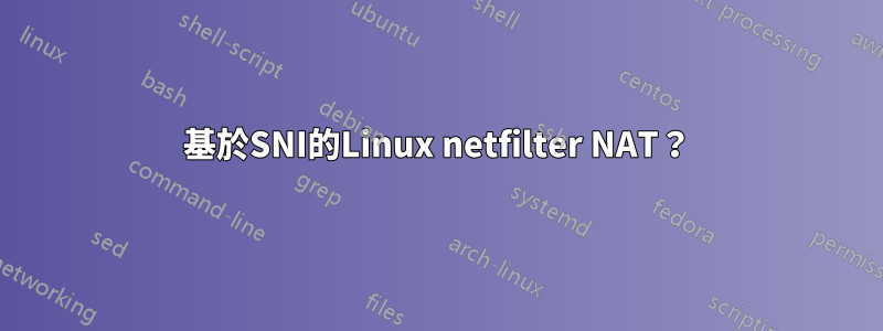 基於SNI的Linux netfilter NAT？