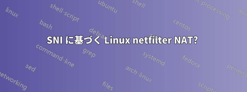 SNI に基づく Linux netfilter NAT?