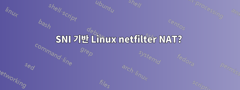 SNI 기반 Linux netfilter NAT?