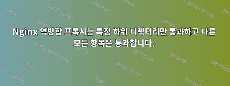 Nginx 역방향 프록시는 특정 하위 디렉터리만 통과하고 다른 모든 항목은 통과합니다.