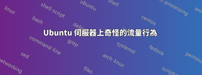 Ubuntu 伺服器上奇怪的流量行為