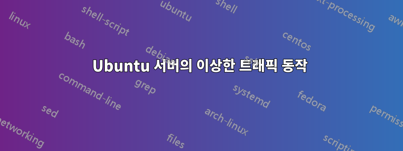 Ubuntu 서버의 이상한 트래픽 동작