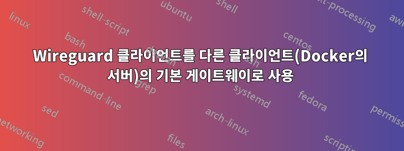 Wireguard 클라이언트를 다른 클라이언트(Docker의 서버)의 기본 게이트웨이로 사용