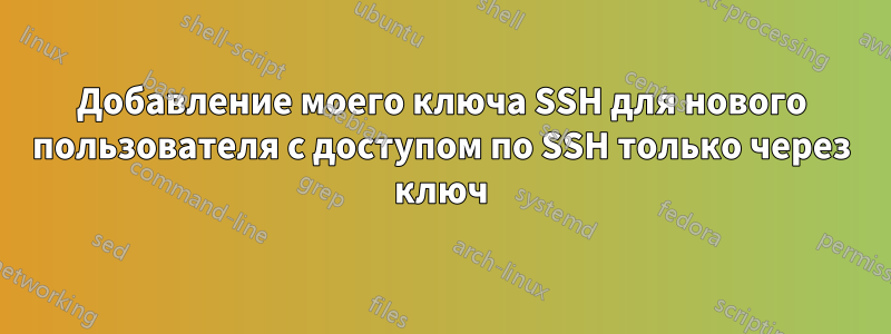 Добавление моего ключа SSH для нового пользователя с доступом по SSH только через ключ