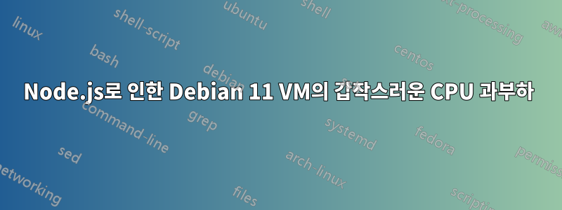 Node.js로 인한 Debian 11 VM의 갑작스러운 CPU 과부하