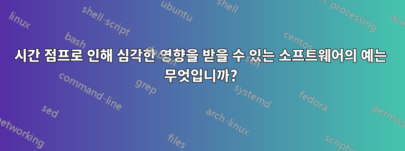 시간 점프로 인해 심각한 영향을 받을 수 있는 소프트웨어의 예는 무엇입니까?