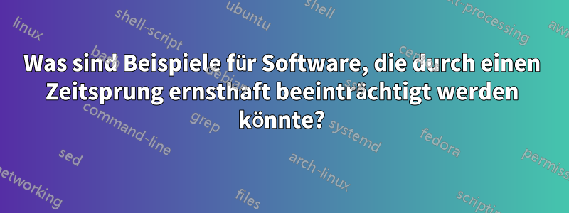 Was sind Beispiele für Software, die durch einen Zeitsprung ernsthaft beeinträchtigt werden könnte?