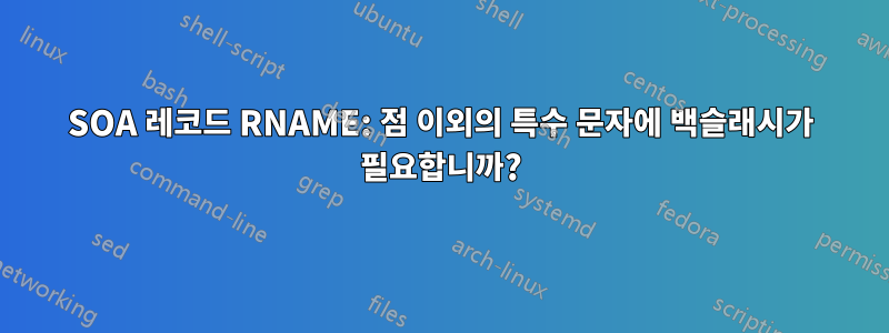 SOA 레코드 RNAME: 점 이외의 특수 문자에 백슬래시가 필요합니까?