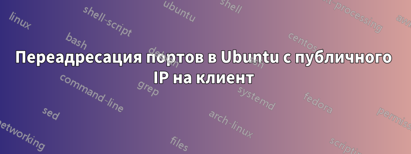 Переадресация портов в Ubuntu с публичного IP на клиент