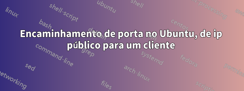 Encaminhamento de porta no Ubuntu, de ip público para um cliente