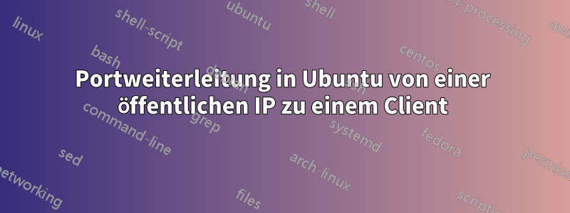 Portweiterleitung in Ubuntu von einer öffentlichen IP zu einem Client